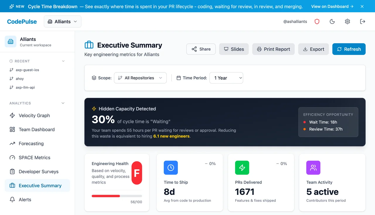 CodePulse Executive Summary for leadership reporting