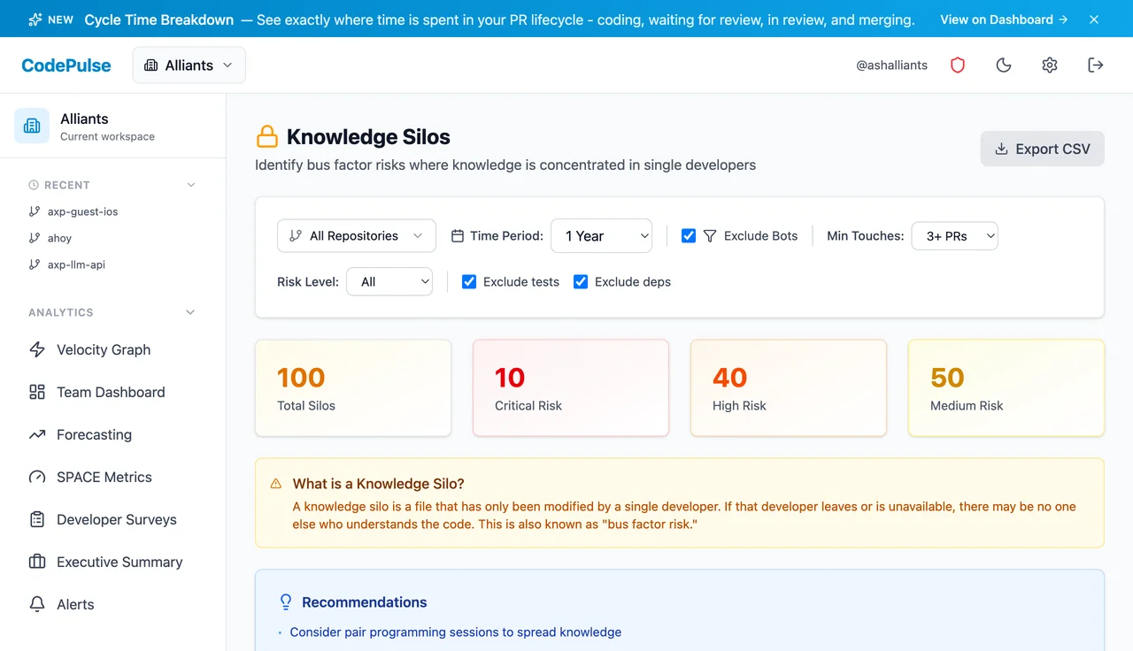 CodePulse Knowledge Silos showing files with single-developer ownership