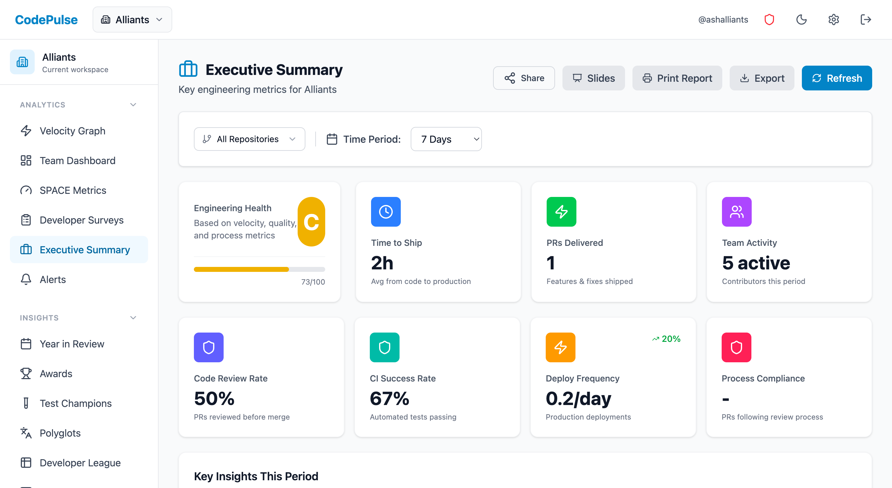 Executive summary view showing investment allocation and AI tools ROI